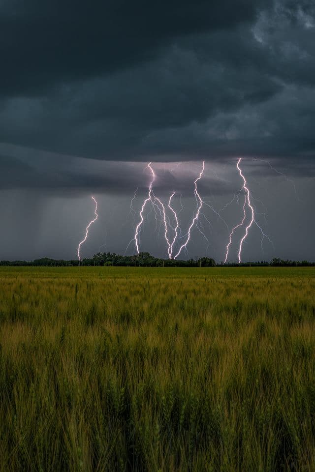 Thunder